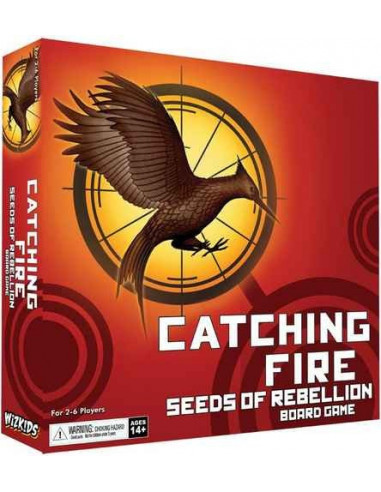 Catching Fire