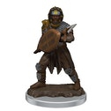 D&D Icons of the Realms: Human Fighter Male (Premium Pre-Painted Miniature)