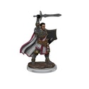 D&D Icons of the Realms: Human Paladin Male (Premium Pre-Painted Miniature)