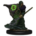 D&D Icons of the Realms: Elf Druid Male (Premium Pre-Painted Miniature)