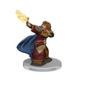 D&D Icons of the Realms: Dwarf Wizard Female (Premium Pre-Painted Miniature)