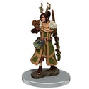 D&D Icons of the Realms: Human Druid Female (Premium Pre-Painted Miniature)