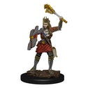 D&D Icons of the Realms: Human Cleric Female (Premium Pre-Painted Miniature)