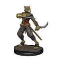 D&D Icons of the Realms: Tabaxi Rogue Male (Premium Pre-Painted Miniature)