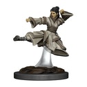 D&D Icons of the Realms: Human Monk Female (Premium Pre-Painted Miniature)