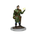 D&D Icons of the Realms: Half-Elf Bard Male (Premium Pre-Painted Miniature)