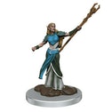 D&D Icons of the Realms: Elf Sorcerer Female (Premium Pre-Painted Miniature)